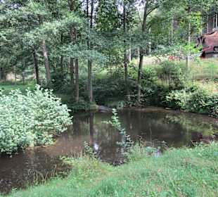  Wanderweg Helmbachweiher - Hornesselwiese
