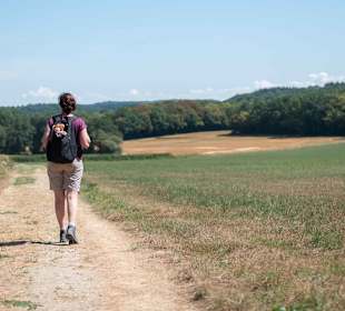 Wandern Geisfeld