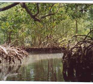 Nationalpark Los Haitises