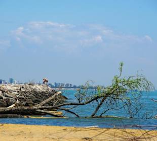 Anfang Naturschutzgebiet