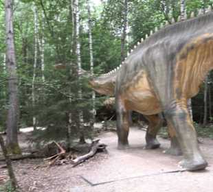 Dinosaurier Museum Altmühltal