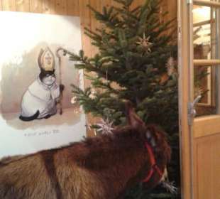 Adventmarkt auf Gut Aiderbichl 2016