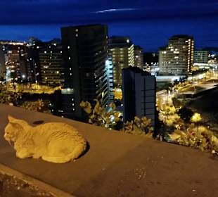 Abendstimmung über Puerto de la Cruz