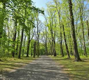 Eindrücke aus dem Prinz-Albrecht-Park