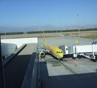 Unser Heimflug