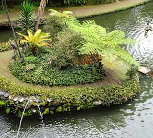 Rundgang durch den Monte Palace Tropical Garden