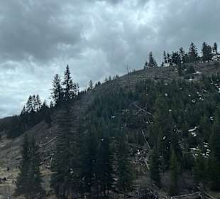 Yellowstone Nationalpark