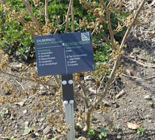 Erläuterungen der Kräuter