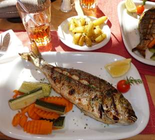 Restaurant Campimir: Gegrillte Dorade