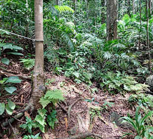 Parque Natural Obô do Príncipe