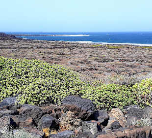 Inselrundfahrt AIDA Tagestour
