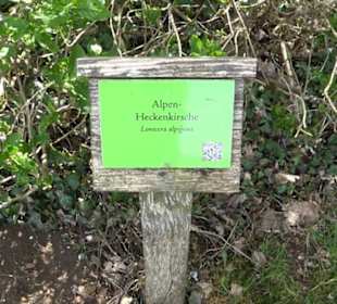 Arboretum
