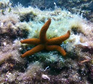 Ouranoupoli Scuba Diving Center