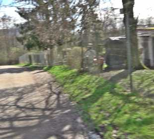 Gomaringer Rundweg - Zu den Giganten im Wald