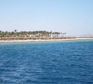 Auf dem Weg nach Mahmya