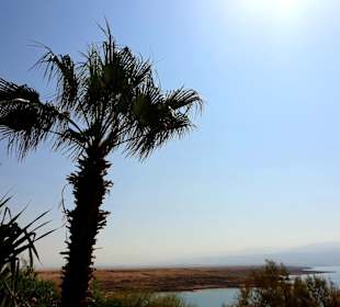Totes Meer / Dead Sea / Kalia Beach
