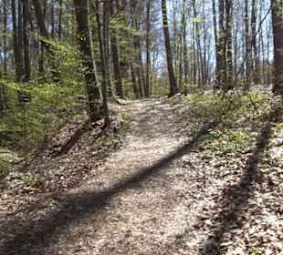 Wanderung Florianrunde