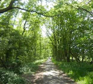 Naturschutzgebiet Boberger Niederung