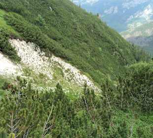 Tatrzański Park Narodowy