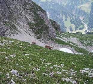 Mindelheimer Klettersteig