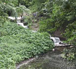 Wallgraben - Alter Botanischer Garten