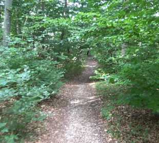 Aussichtspunkt am Eckfelsen