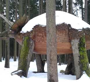 Naturpark Heidenreichsteiner Moor	