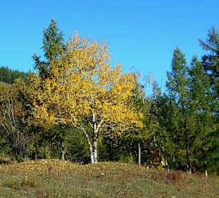 Gorkhi Terelj Nationalpark