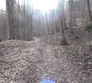 Gütersteiner Wasserfall