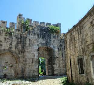 Mamula, Andrea, Velo, Anni 2011