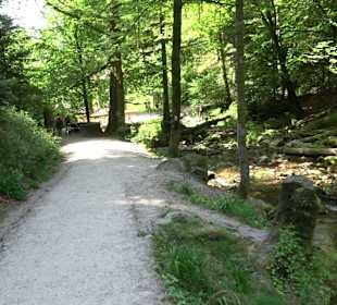 Wasserfälle Allerheiligen