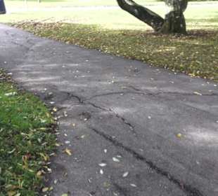 Fastnachtsmuseum Narrenschopf