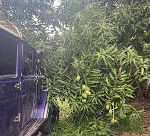 Ausflug nach Holguin