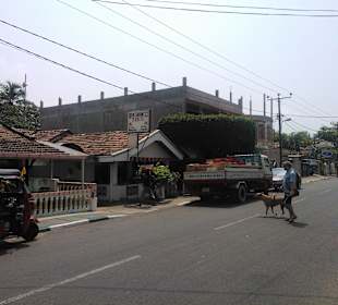 Für und das beste Restaurant vor Ort!