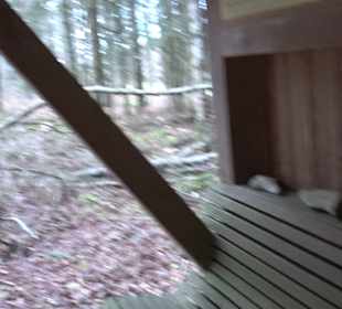 Brühl-Brünnele Ehestetten