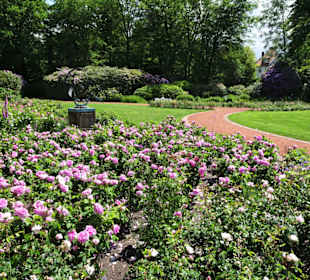 Sommeranfang im Schlossgarten Oldenburg