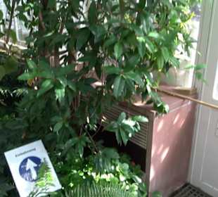Gewächshäuser Botanischer Garten
