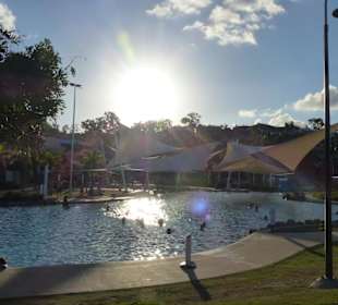 Airlie Beach Lagoon
