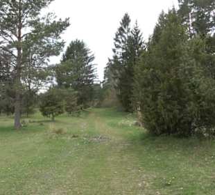 Lärchenwäldle