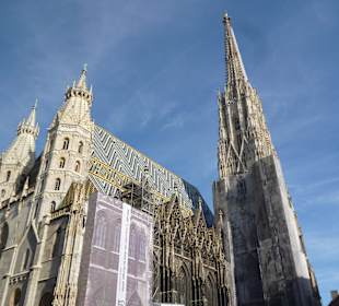 Katedra