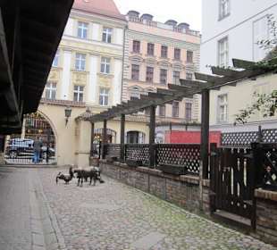 Altstadt Breslau