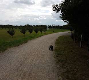 Holsterhausener Uferseite durch die Auen zum Fluss