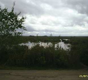 Regenstimmung im Naturreservat