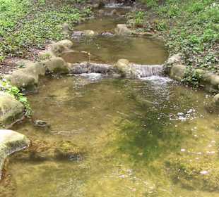 Wasserlauf