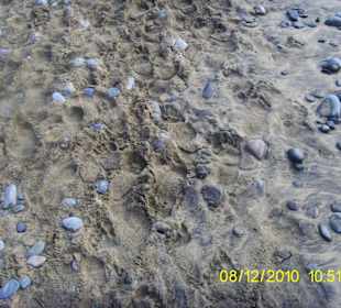 Strandsituation Maspalomas Gran Canaria