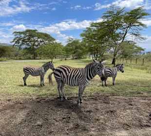 Geführte Touren Aqua Paradise Safaris