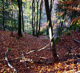 Natur pur