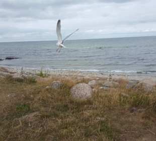 Blick aus dem Strandkorb, nach links