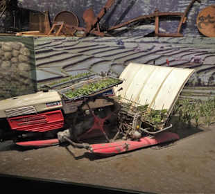 Reisanbau im Übersee-Museum