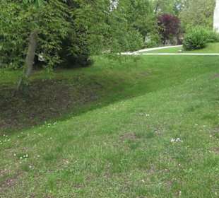 Benediktinerkloster Lorch